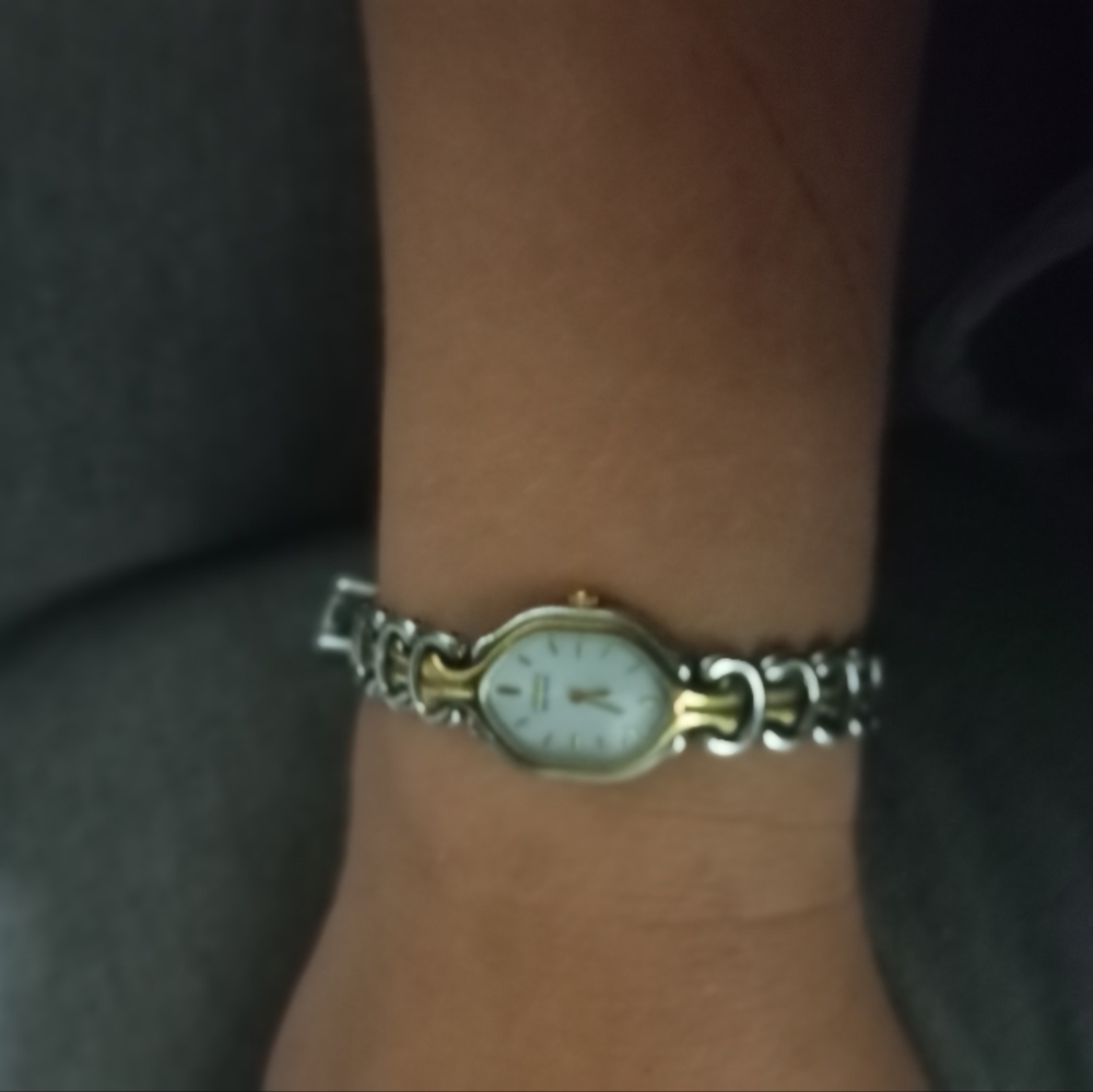 Citizen Gold and silver tone citwatch collection